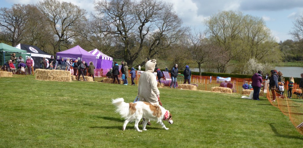 Framlingham country show