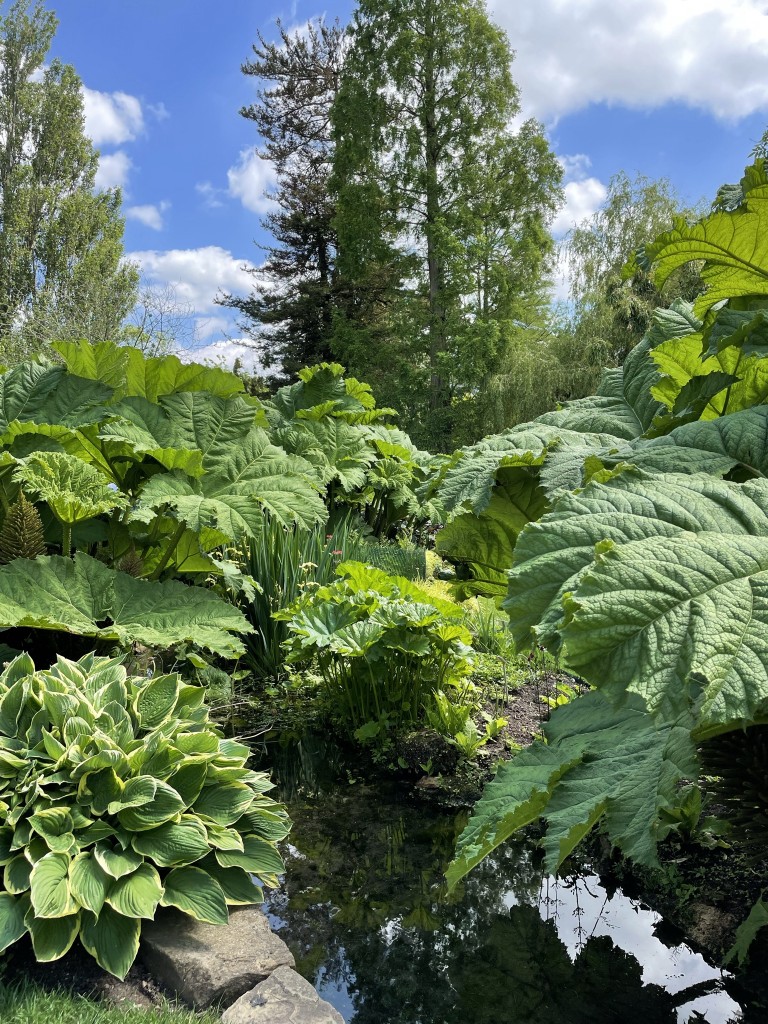 Cambridge University Botanic Garden