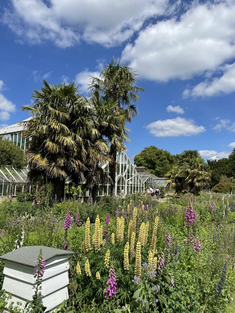 Cambridge University Botanic Garden