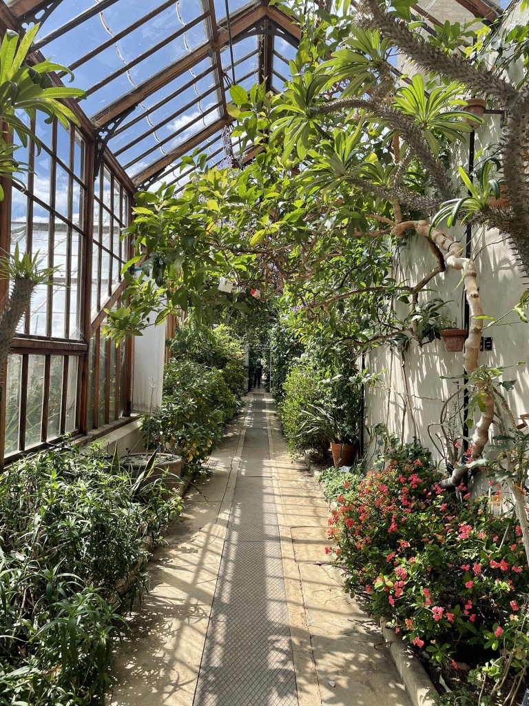 Glasshouse Cambridge University Botanic Garden