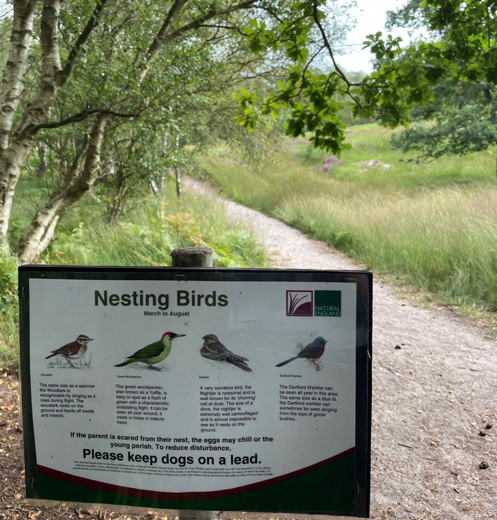 westleton heath nature reserve