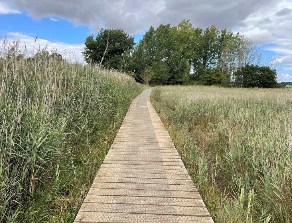 Iken walk from snape maltings suffolk days out